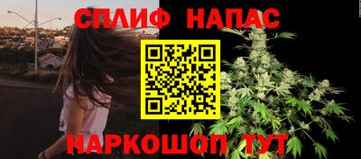 сатива Тула
