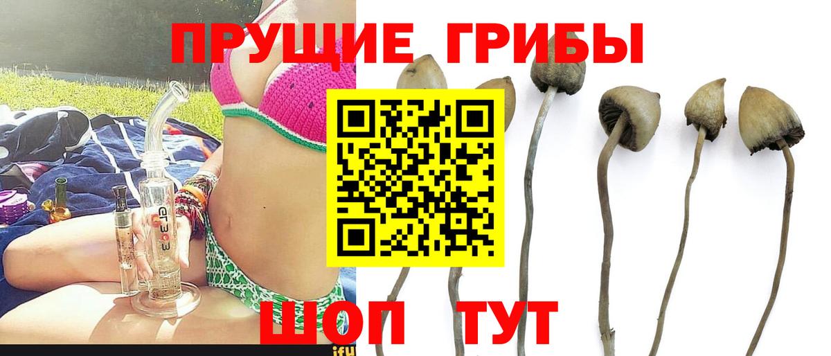 Псилоцибиновые грибы MAGIC MUSHROOMS Астрахань