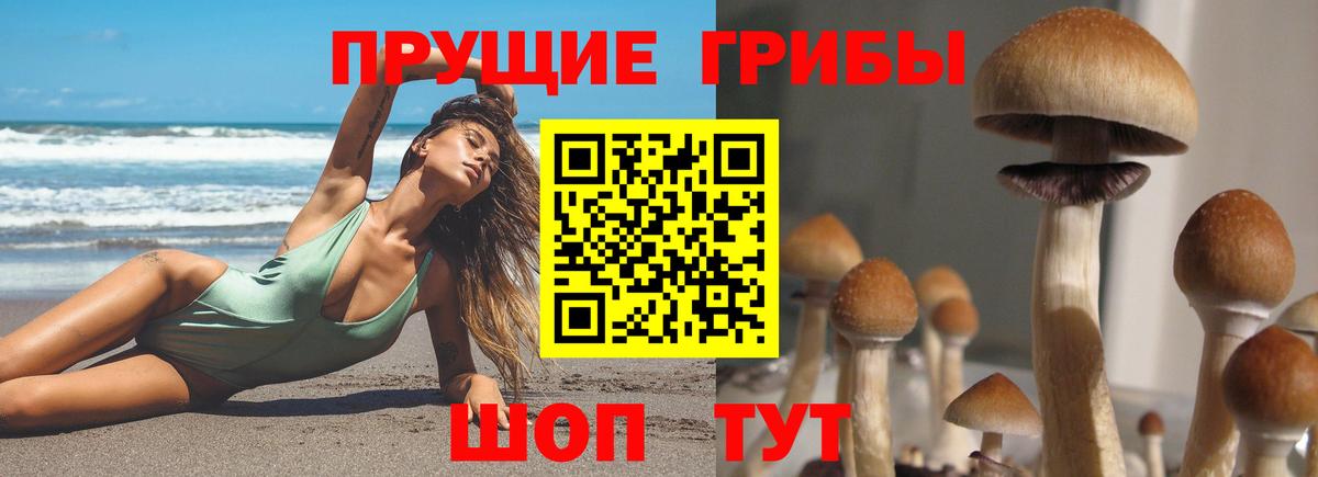 Псилоцибиновые грибы мицелий  Вход с VPN  Галлюциногенные грибы мицелий  Астрахань 